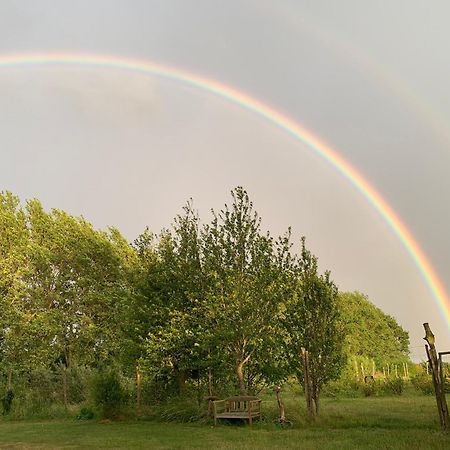 Tusindfrugt B&B Store Heddinge Exteriör bild
