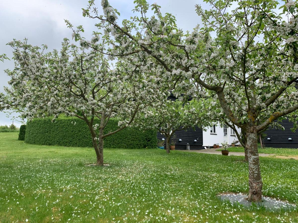 Tusindfrugt B&B Store Heddinge Exteriör bild