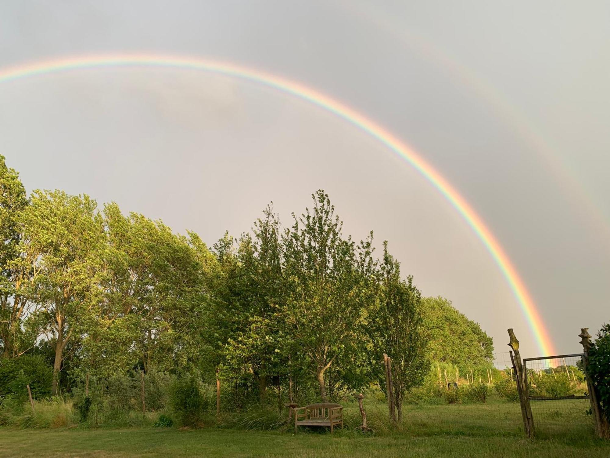 Tusindfrugt B&B Store Heddinge Exteriör bild
