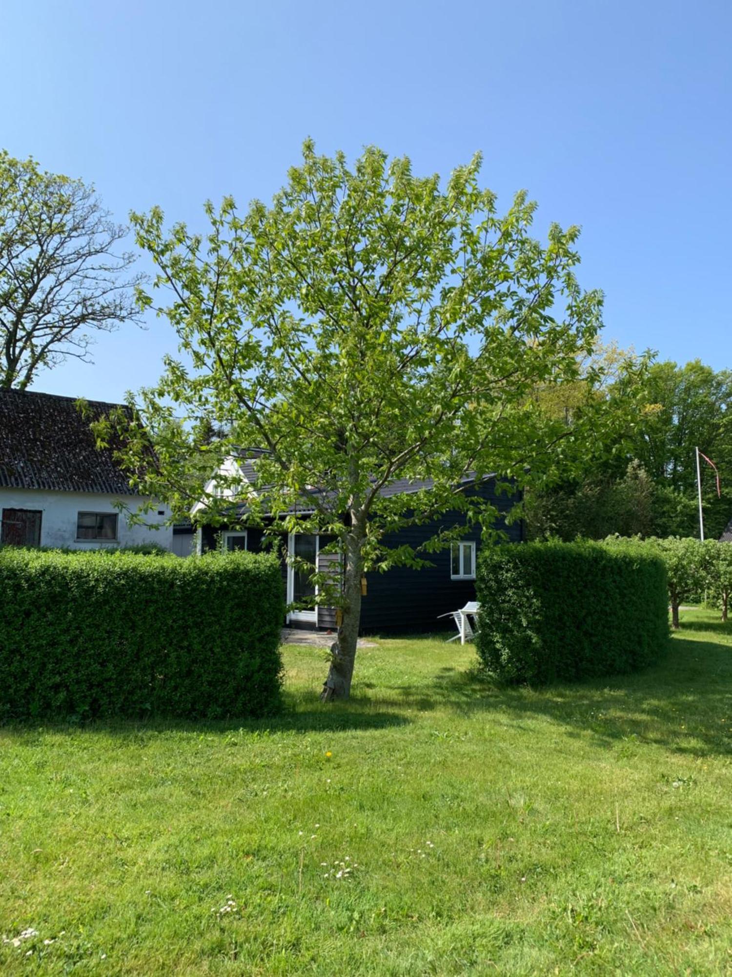 Tusindfrugt B&B Store Heddinge Exteriör bild